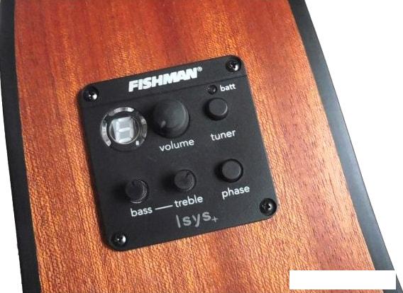 Гитары Randon RGI-01-CE