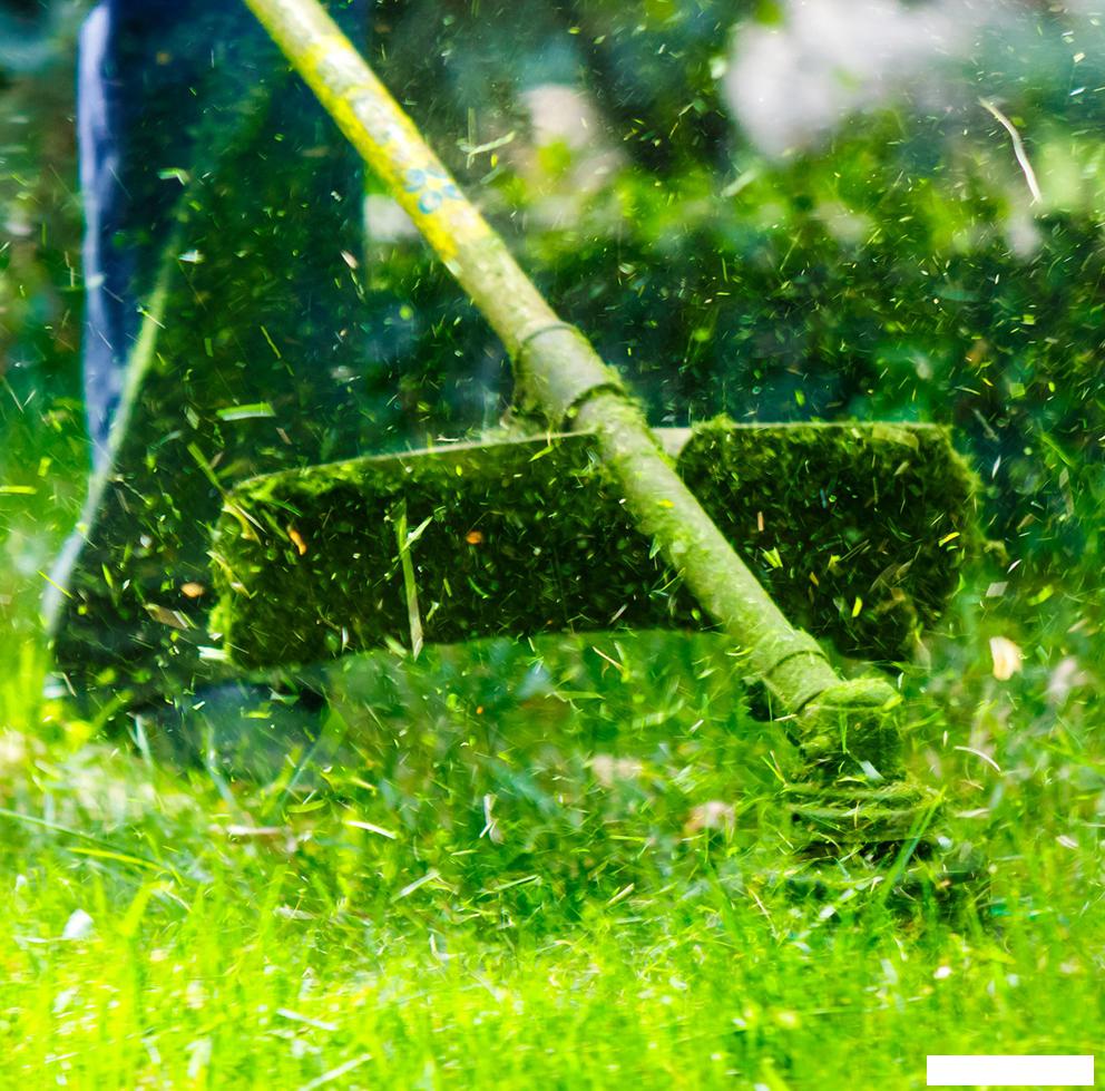 Триммер Oasis TE-120