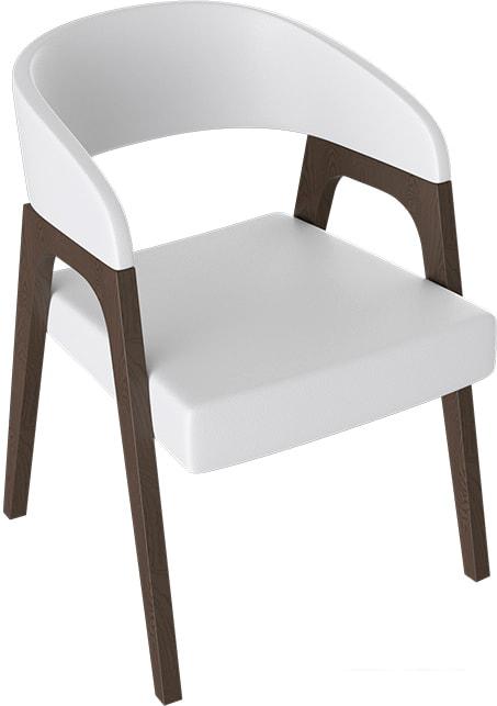 Стул с подлокотниками Трия Техас 1 W-101 (орех темный/экокожа 66)