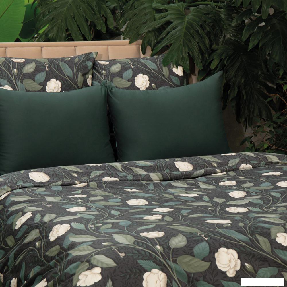 Постельное белье Verossa Keys 2сп VRS 2080 30164/1+70102 СЛ15 23 925594