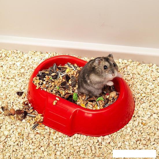 Клетка Ferplast Maxi Duna Multy 57033499W1