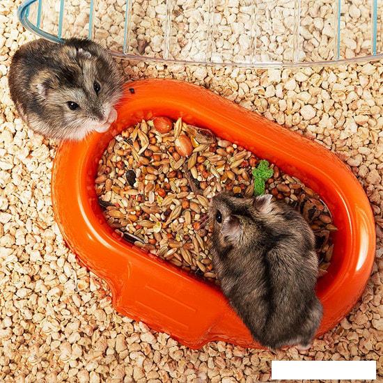 Клетки и аксессуары для птиц и грызунов Ferplast Combi 1 (белый) 57923499