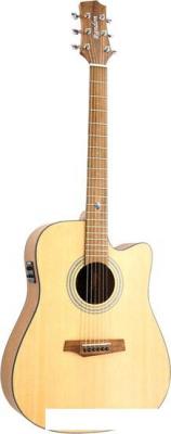 Гитары Randon RGI-01-CE