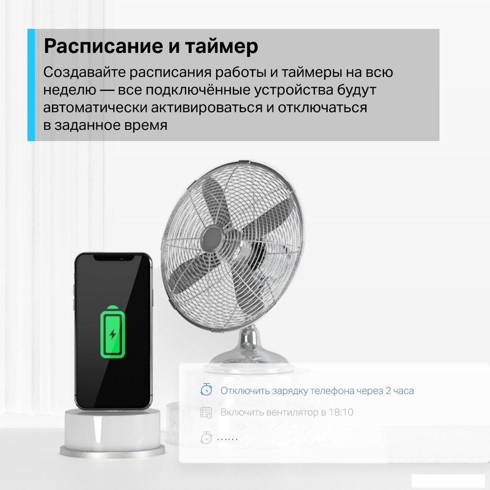 Умная розетка TP-Link Tapo P100 (2 шт)