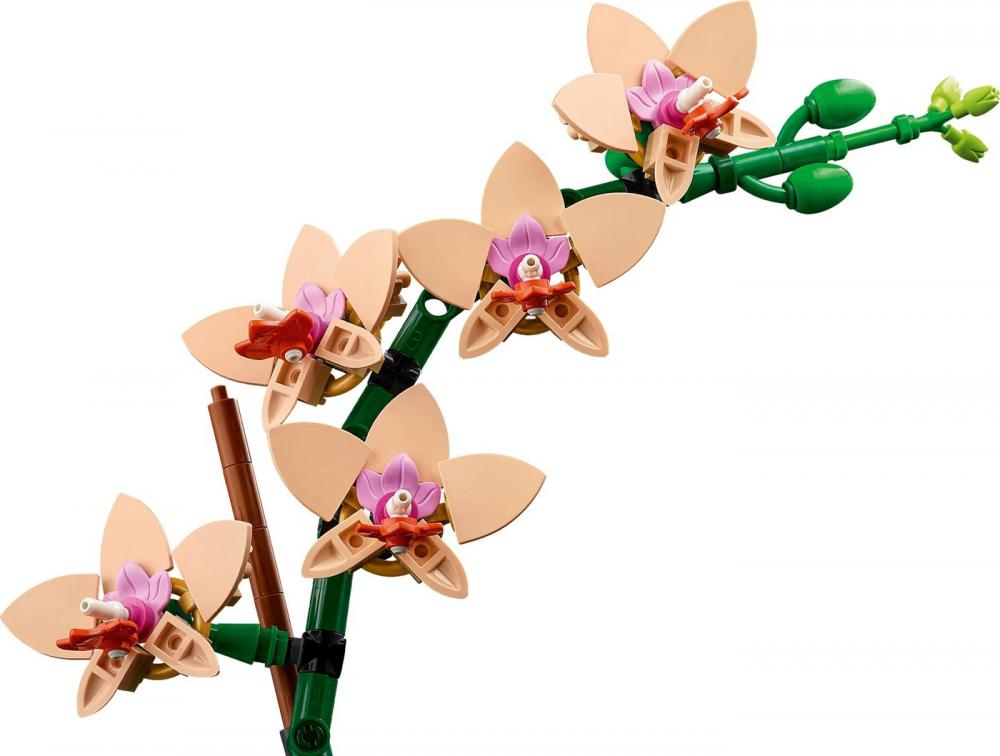 Конструктор LEGO The Botanical Collection 10343 Мини Орхидея