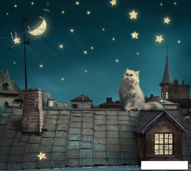 Обои ФабрикаФресок Кот на крыше 473270 (300x270)