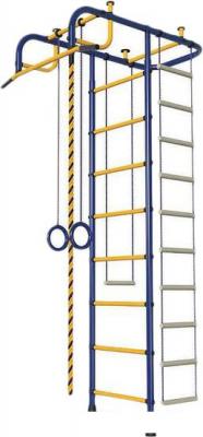 Детские спортивные комплексы и игровые площадки Пионер М (синий/желтый)