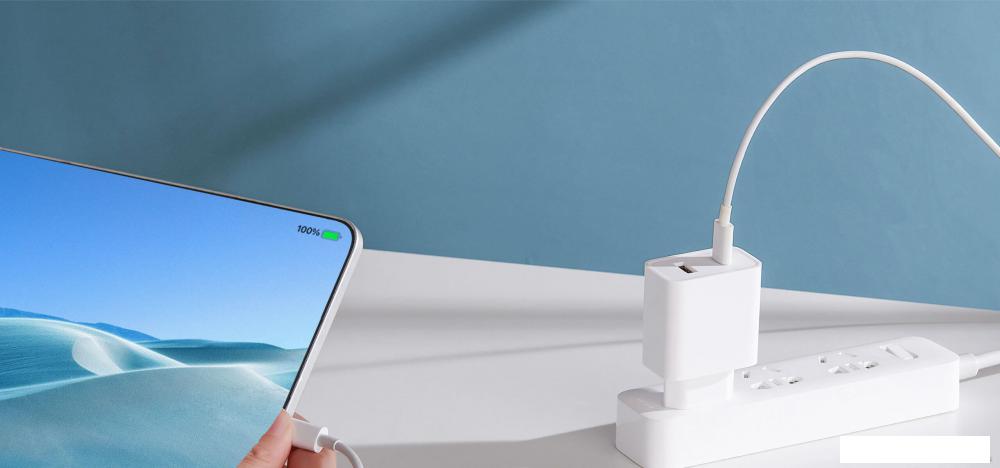 Сетевое зарядное Xiaomi Mi 33W Wall Charger AD332EU (международная версия) Сетевое зарядное Xiaomi Mi 33W Wall Charger AD332EU (международная версия)