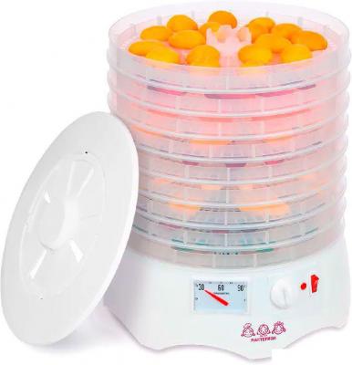 Сушилка для овощей и фруктов Мастерица EFD-0903VM (с прозрачными поддонами)