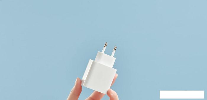 Сетевое зарядное Xiaomi Mi 33W Wall Charger AD332EU (международная версия)
