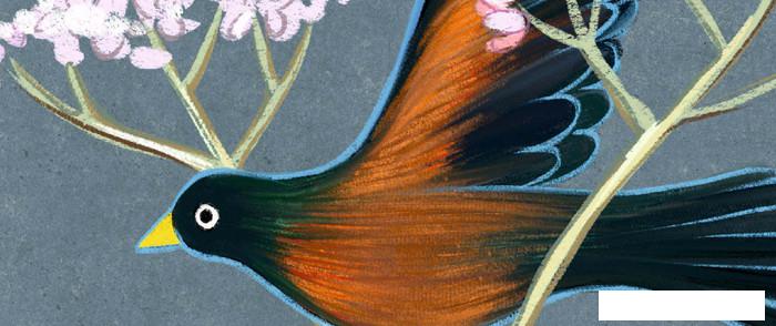 Обои ФабрикаФресок Зайцы в цветах Афреска 563270 (300x270)