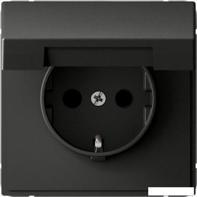 Розетка Systeme Electric ArtGallery GAL001446