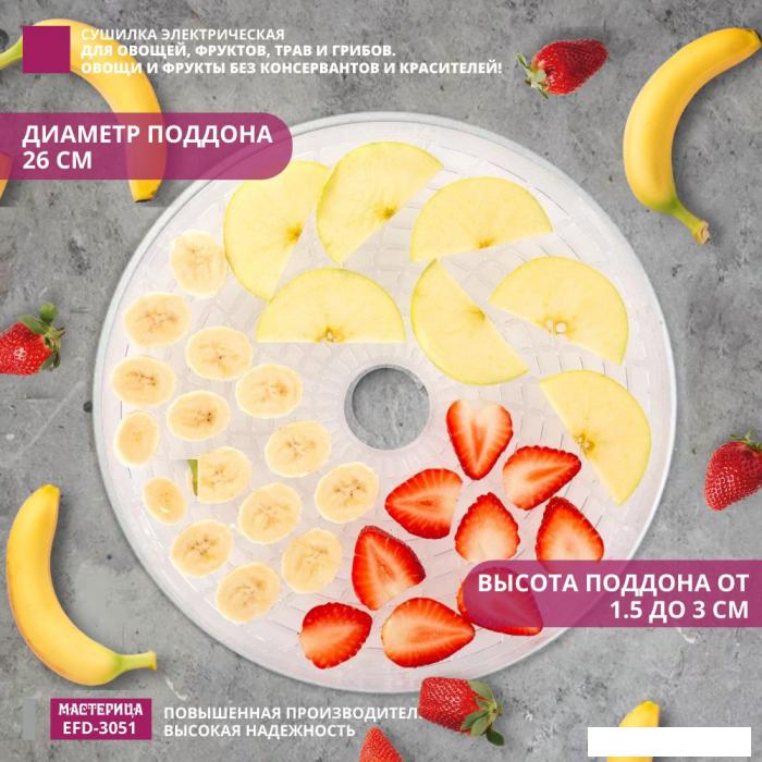 Сушилка для овощей и фруктов Мастерица EFD-3051