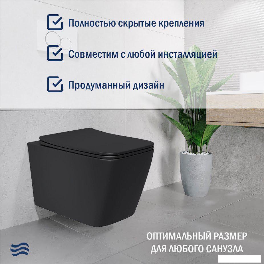 Унитазы Lauter Magdeburg с жестким сиденьем Soft Close 21103EC (черный матовый, скрытое крепление)