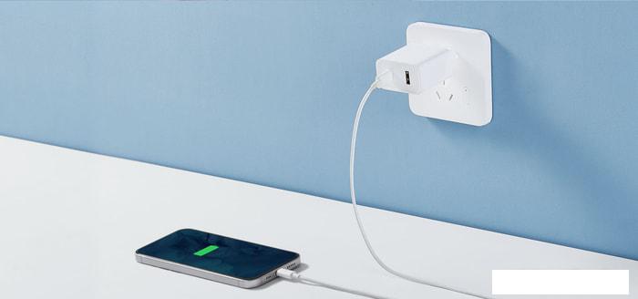 Сетевое зарядное Xiaomi Mi 33W Wall Charger AD332EU (международная версия)