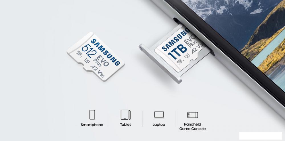 Карта памяти Samsung EVO Plus 2024 microSDXC 256GB (с адаптером)