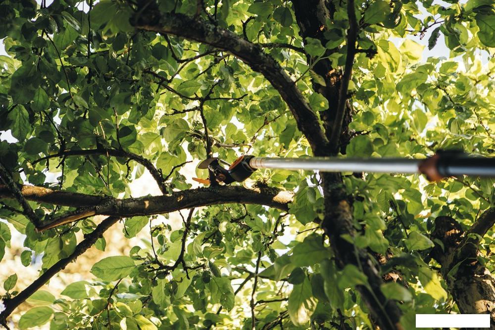 Сучкорез Fiskars PowerGear X UPX82 1023625