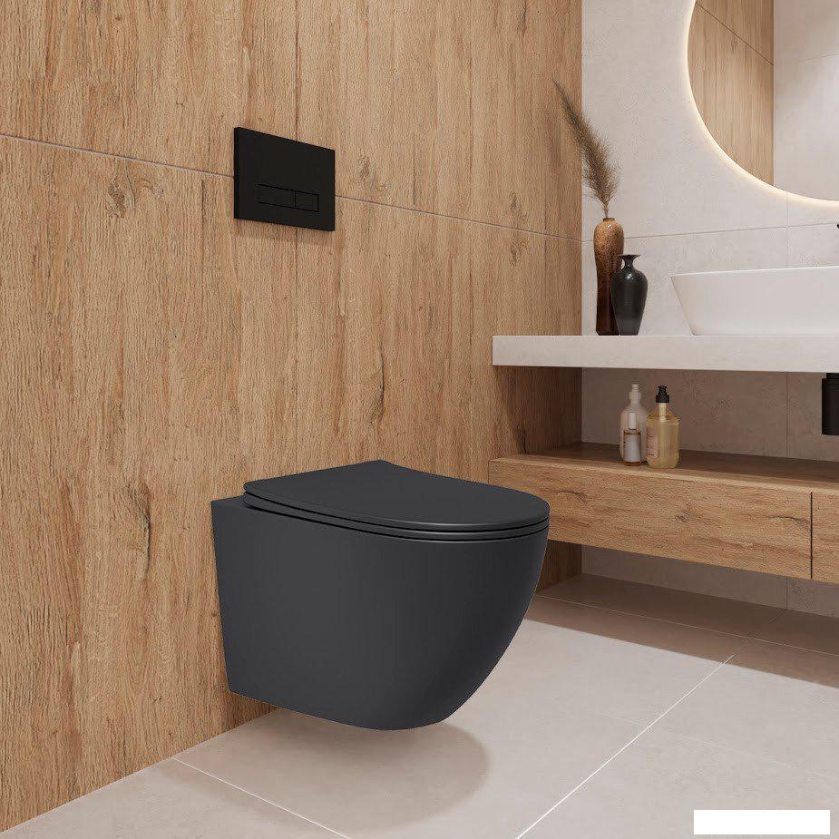 Унитазы Lauter Augsburg с жестким сиденьем Soft Close 21109EC (черный матовый, скрытое крепление)