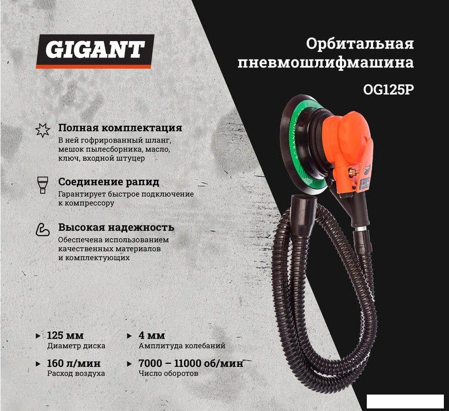 Пневмошлифмашина Gigant OG125P