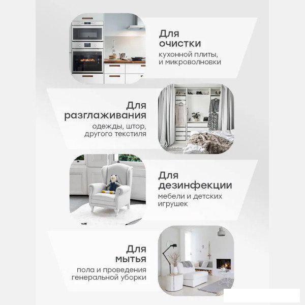 Пароочиститель Bort BDR-2700-R