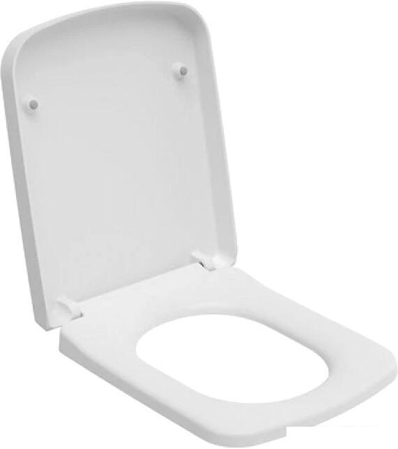 Сиденье для унитаза Ambassador Benefit 202T20001 (белый)