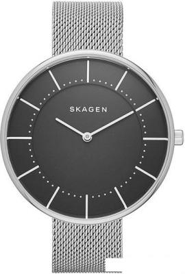 Наручные часы Skagen SKW2561