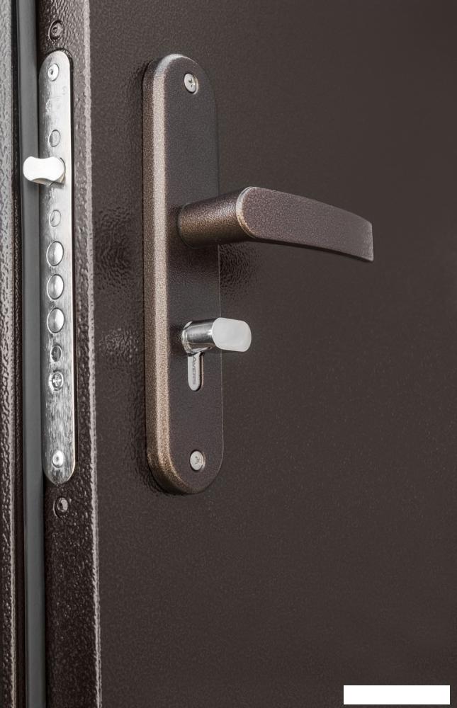 Металлическая дверь Промет Профи DL 205х125 (левый)