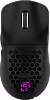 Игровая мышь Oklick 900GMW (черный) Игровая мышь Oklick 900GMW (черный)