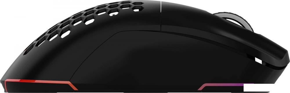 Игровая мышь Oklick 900GMW (черный)