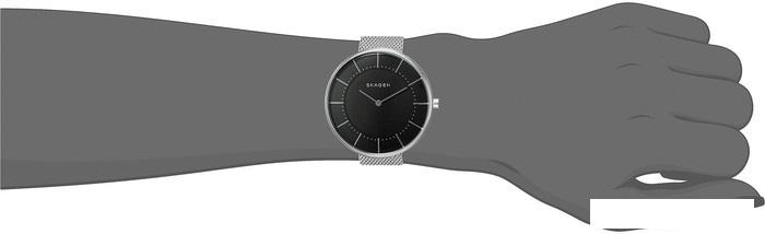 Наручные часы Skagen SKW2561