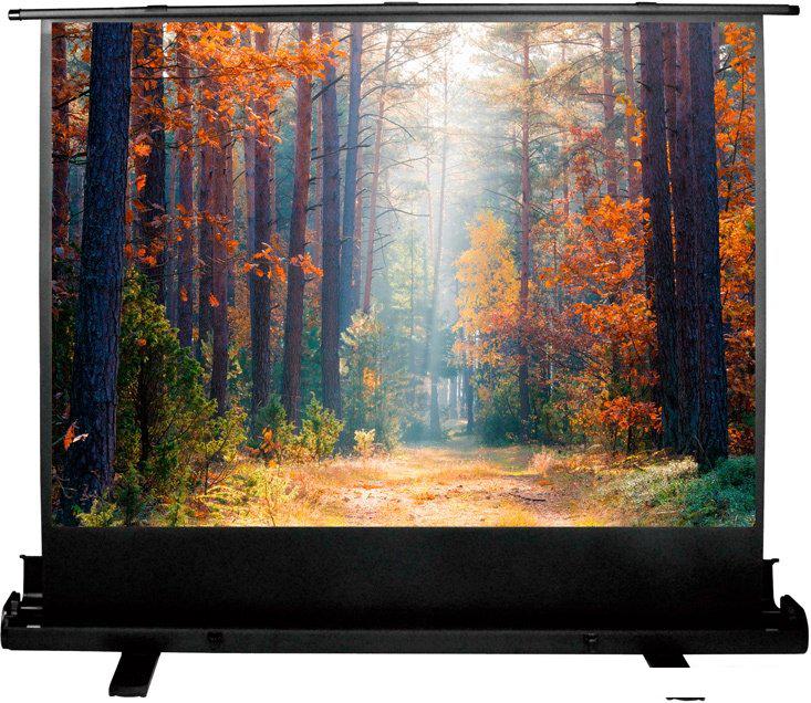 Проекционный экран CACTUS FloorExpert 150x200 CS-PSFLE-200X150