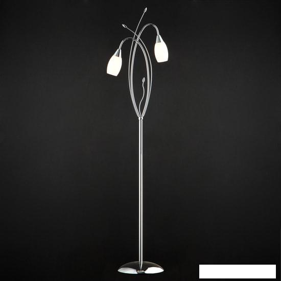 Настольные лампы, торшеры, ночники Евросвет Ginevra 22080/2F (хром)