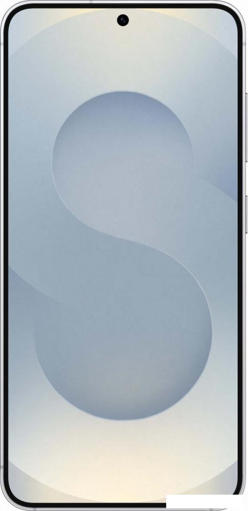 Смартфон Samsung Galaxy S25 SM-S931B 12GB/128GB (серый)