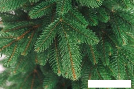 Ель Бифорес Крона Микс (1.95 м, темно-зеленый)