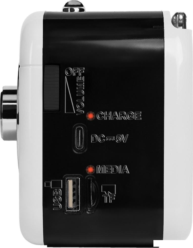 Радиоприемник Ritmix RPR-033 (белый)