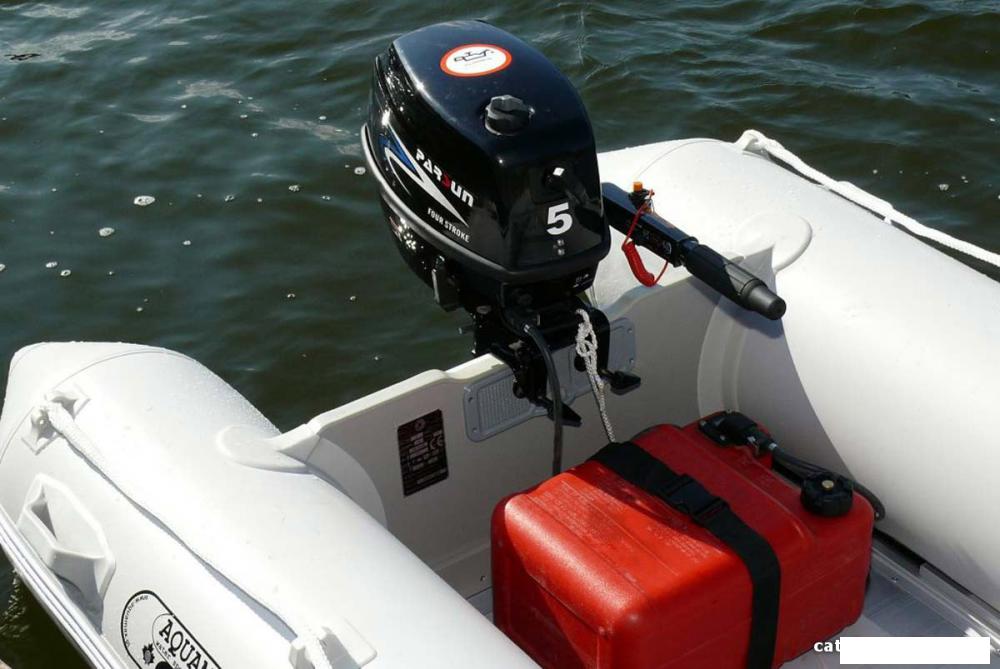 Лодочный мотор Parsun F5 BMS