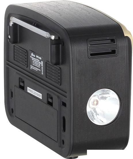 Радиоприемник Ritmix RPR-050 (золотой)