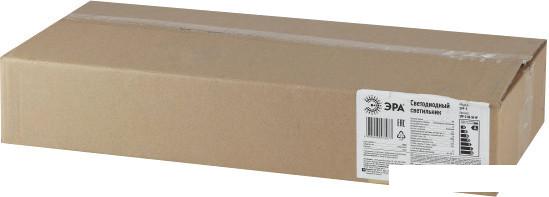 ЭРА SPP-5-60-5K-W IP65 Б0029441