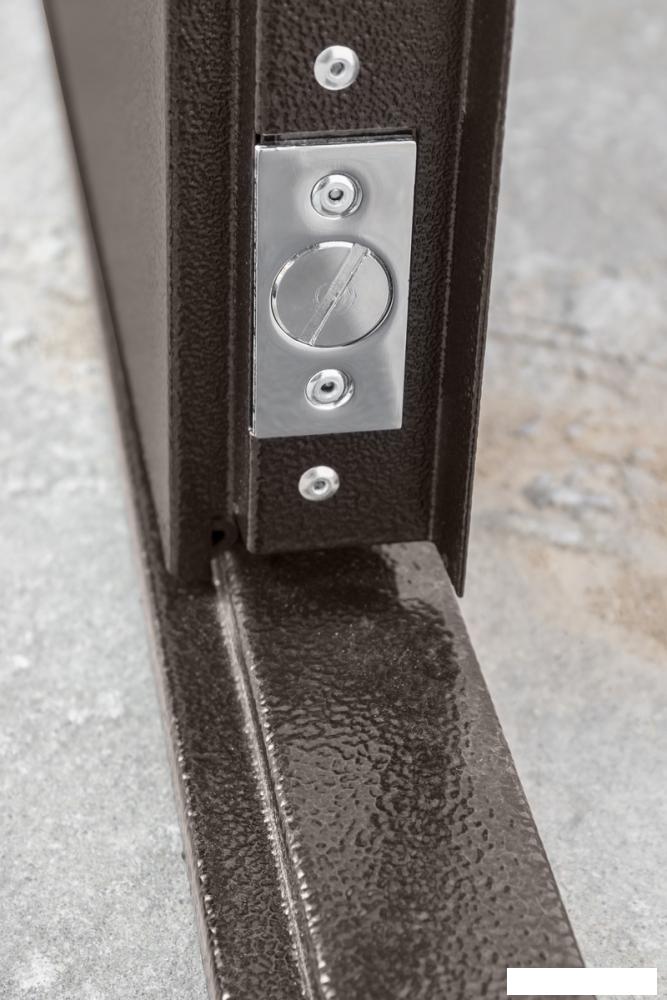 Металлическая дверь Промет Профи DL 205х125 (левый)