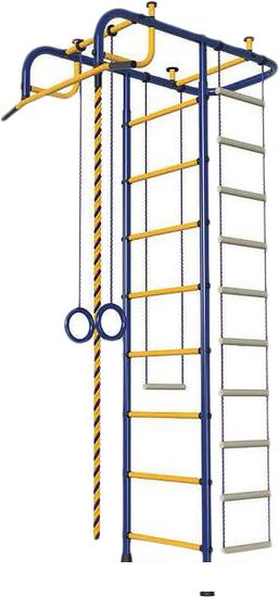 Детские спортивные комплексы и игровые площадки Пионер М (синий/желтый)