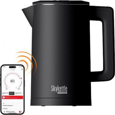 Электрический чайник Redmond (Редмонд) SkyKettle KM231S (черный)
