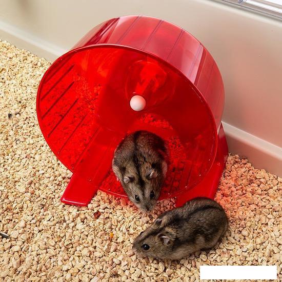 Клетка Ferplast Maxi Duna Multy 57033499W1