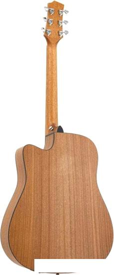 Гитары Randon RGI-01-CE