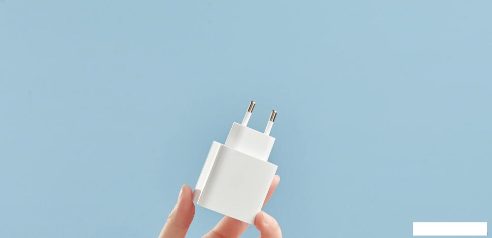 Сетевое зарядное Xiaomi Mi 33W Wall Charger AD332EU (международная версия) Сетевое зарядное Xiaomi Mi 33W Wall Charger AD332EU (международная версия)