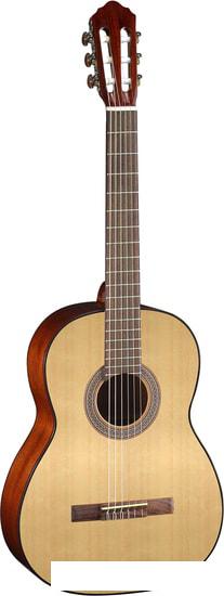 Гитары Cort AC100DX OP