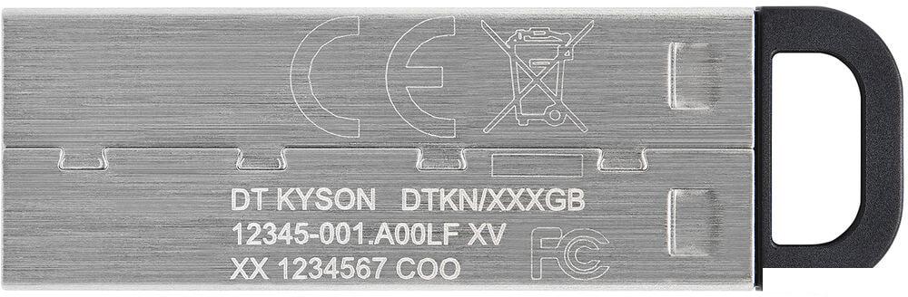 USB Flash Kingston Kyson 256GB