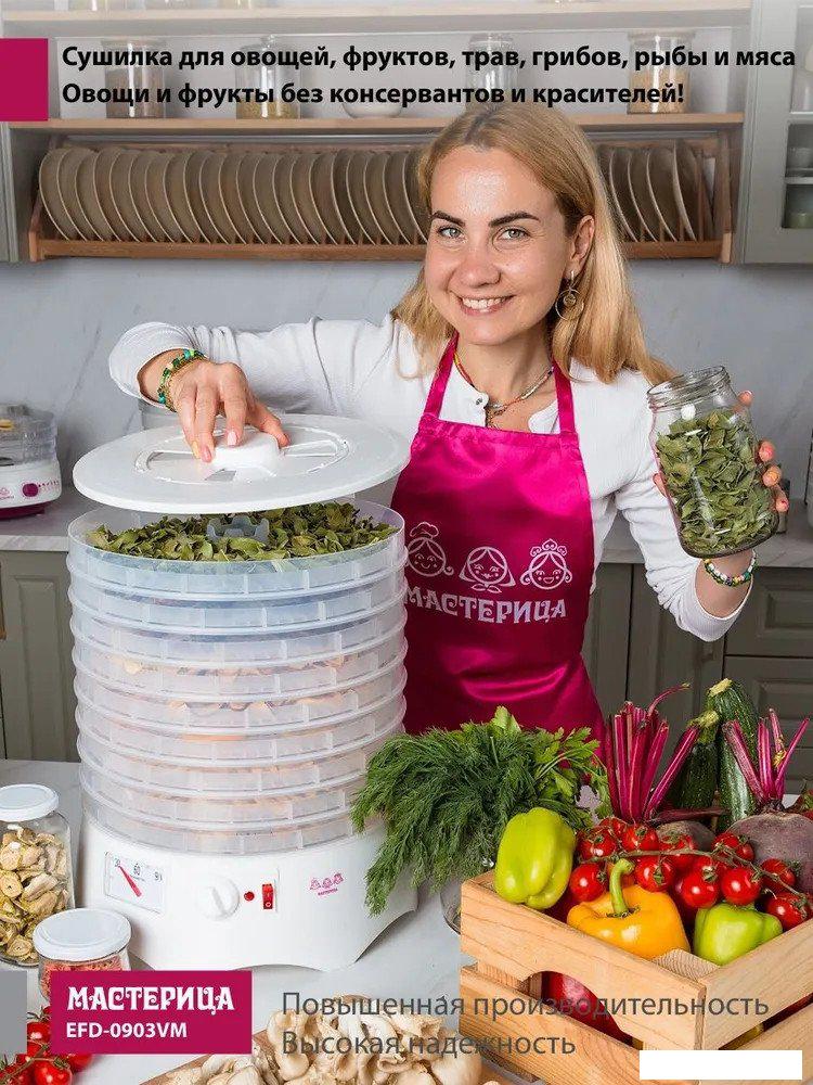 Сушилка для овощей и фруктов Мастерица EFD-0903VM (с прозрачными поддонами)