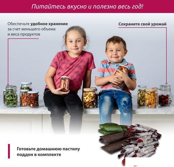 Сушилка для овощей и фруктов Мастерица EFD-0502VM (5 поддонов и 1 поддон для пастилы)