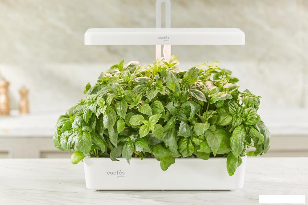 Умный сад CACTUS CS-LEDPOT-10