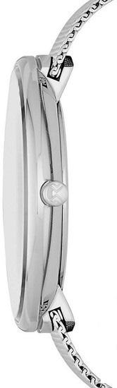 Наручные часы Skagen SKW2561